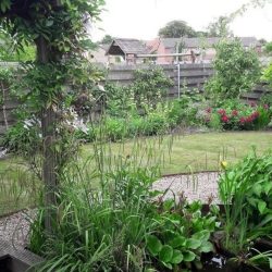 Hoveniersbedrijf freek jaquet tuinontwerp